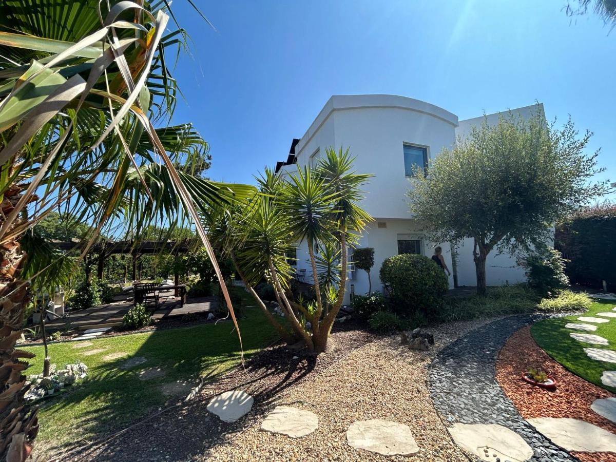 Villa De Lux With Pool Quinta do Anjo Eksteriør bilde